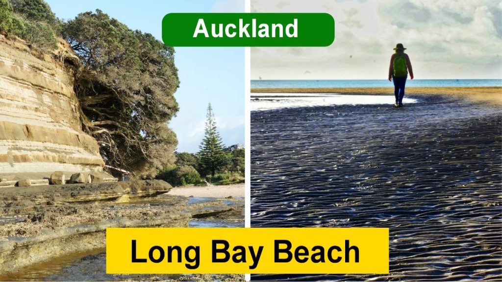 Long Bay Beach featured image