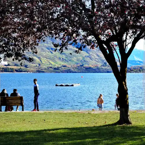 day trip to Wanaka
