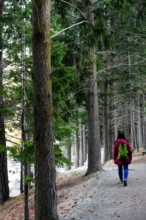 Franton track, Exploring Queenstown City Center