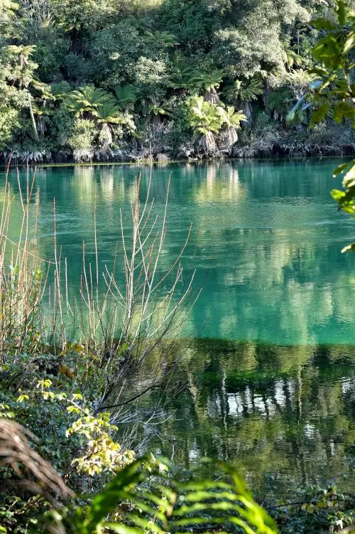 Huka Falls Walkway