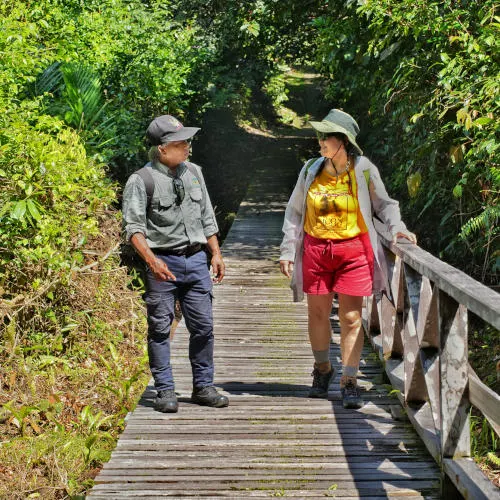 boardwalk at Niah Cave