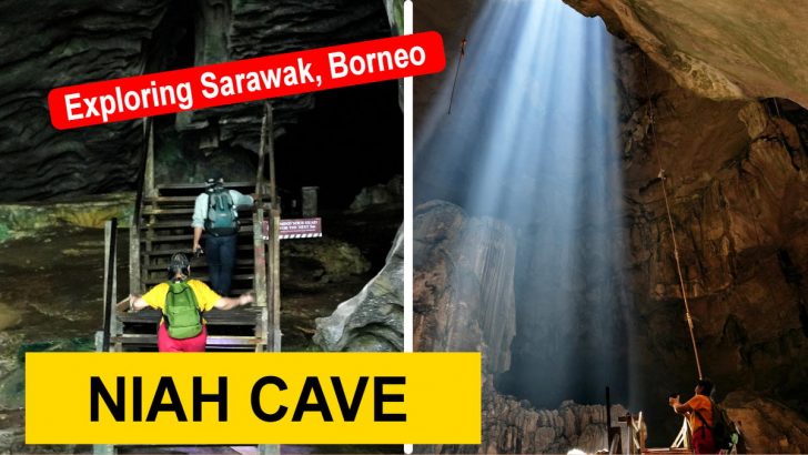 Niah Cave featured image