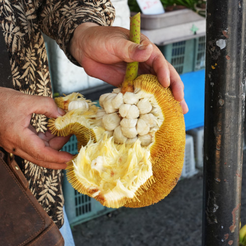 Try tarap at Tamu