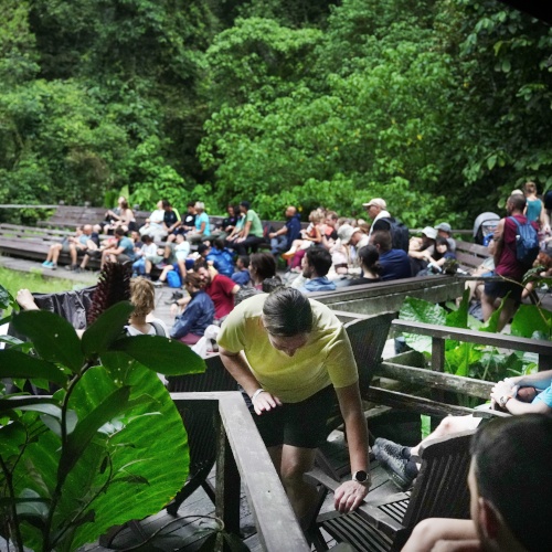 Bat Watching at Mulu Caves