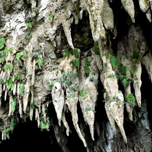 Clearwater Cave at Mulu Caves