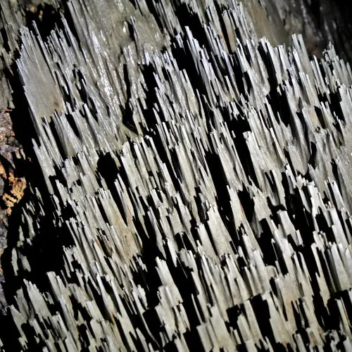 phytokarst rock formation at Mulu Cave