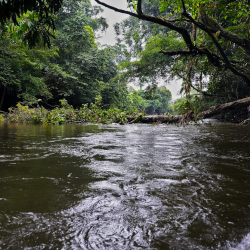 Penan handicraft center, Mulu