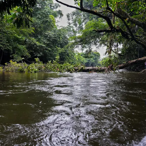 Penan handicraft center, Mulu