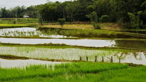 Kamung Arur Dalan