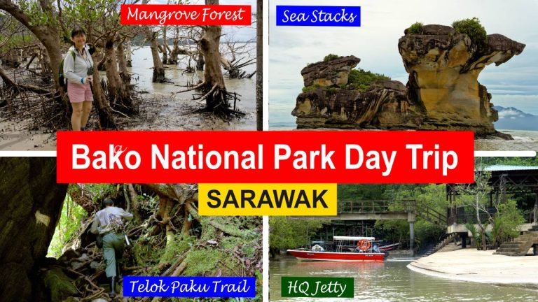 Bako National Park featured image