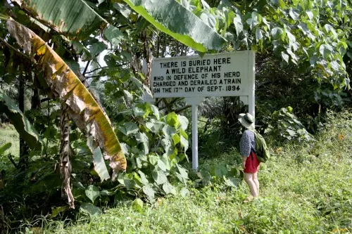 Sungai Kerawei Elephant Memoria