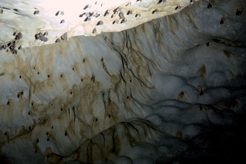 Wind Cave Nature Reserve, Bau, Sarawak