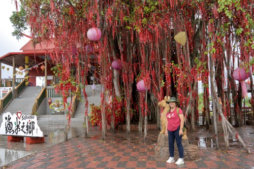 Sekinchan Wishing Tree