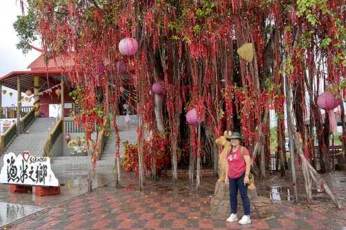 Sekinchan Wishing Tree