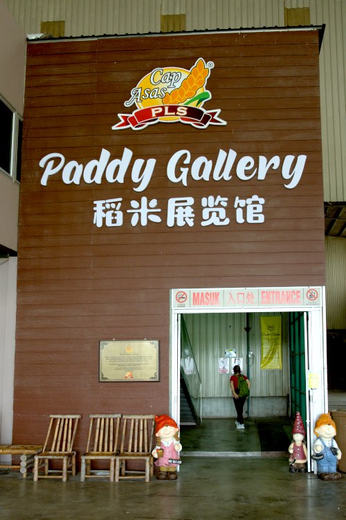 Paddy Gallery