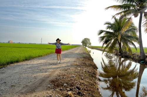 Best Time To Visit Sekinchan