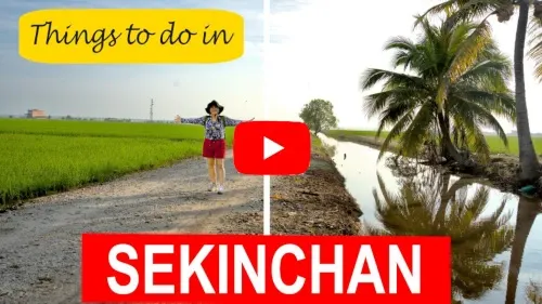 Sekinchan video image