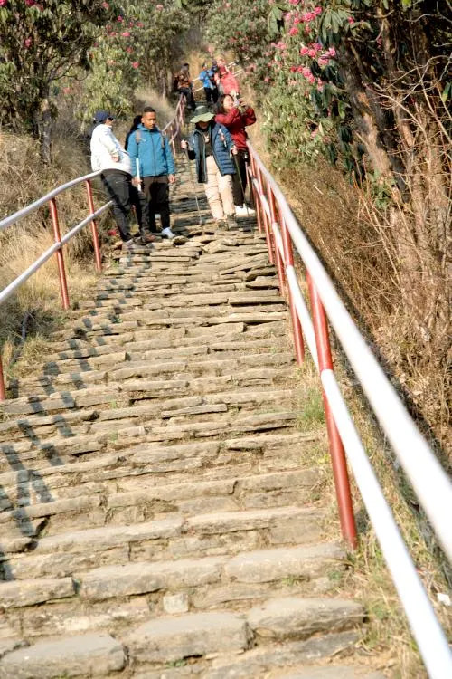 Ghorepani Poon Hill Trek