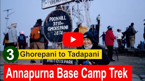 Ghorepani to Tadapani - Annarpurna base Camp Trek