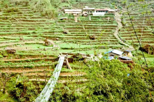 Sinuwa, Nepal