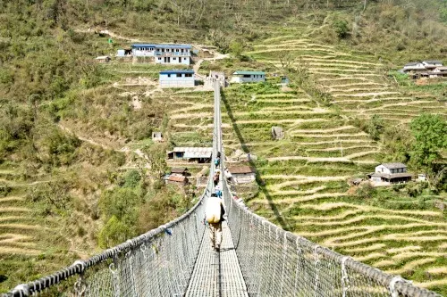 (Jhinu Danda Suspension Bridge)