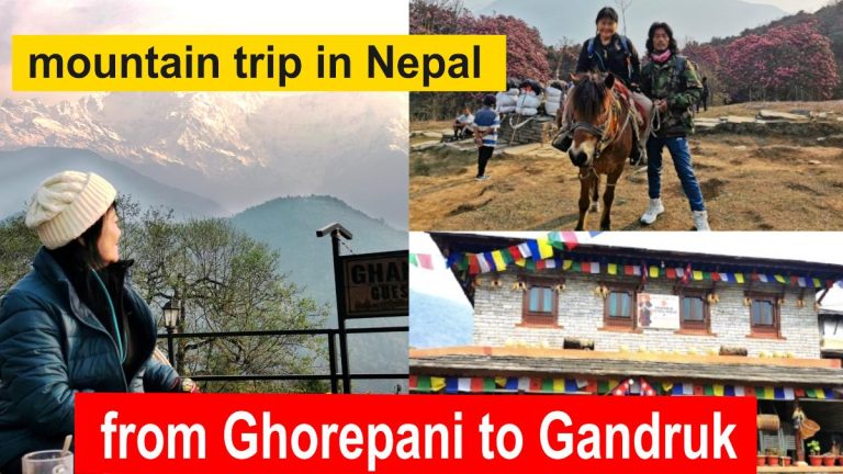 from Ghorepani to Gandruk