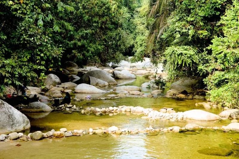 Burmese Pool