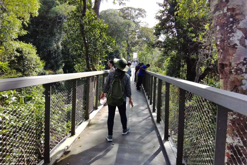 Langur Way Canopy Walk,