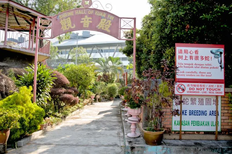 Snake temple (福兴宫)