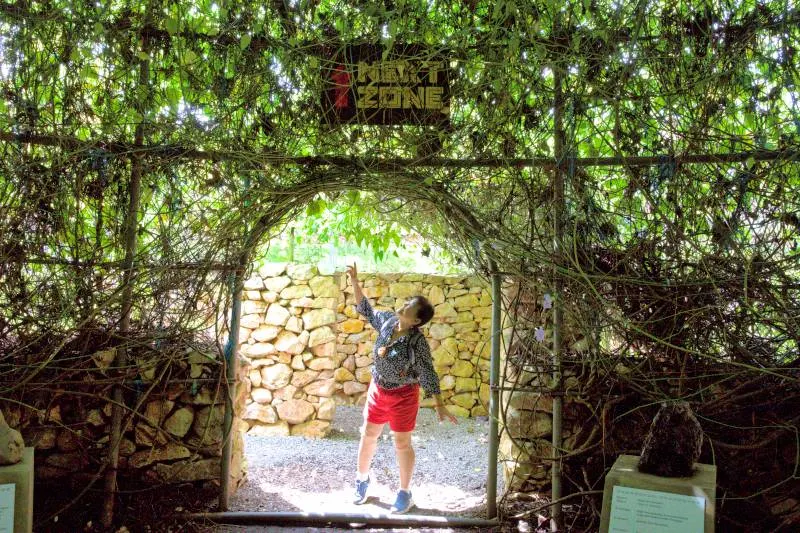 TT5 Maze Garden