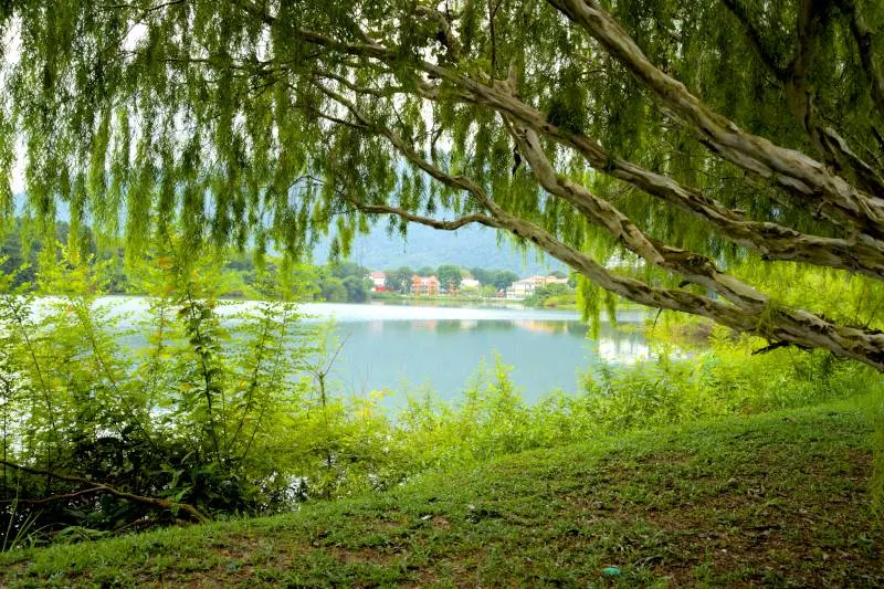 Westlake Garden, places to visit in Kampar