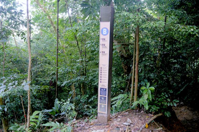  vertical signs  in bukit kiara trails