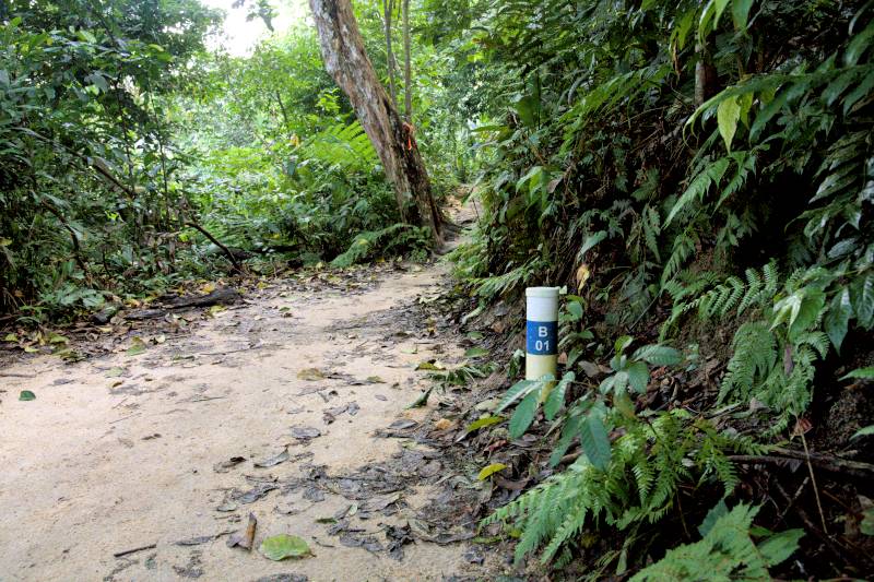 trail inside bukit kiara