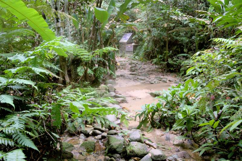 Bukit Kiara Waterfalls 