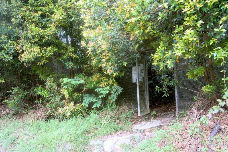 bukit kiara trail at Seri Hartamas