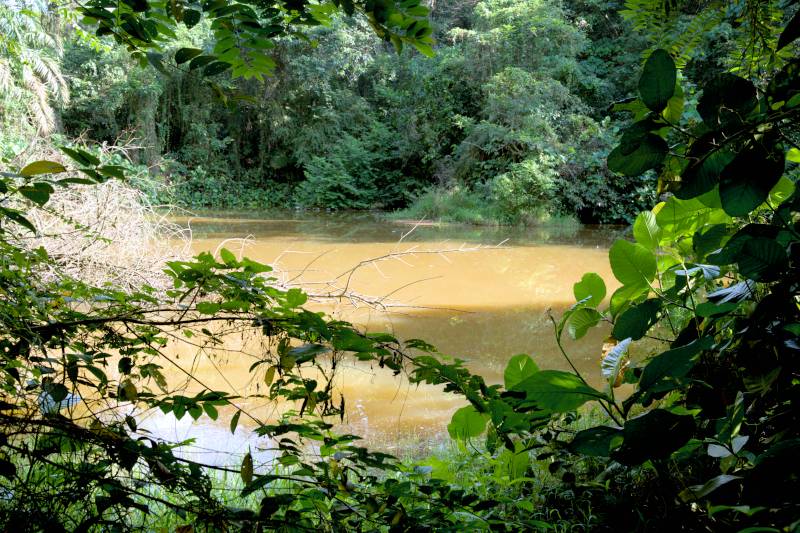 Bukit Kiara’s Lake