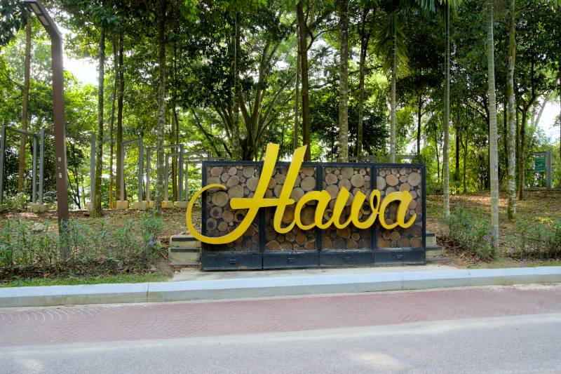 HAWA