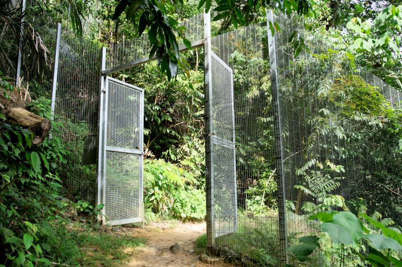 gate 5 at bukit kiara