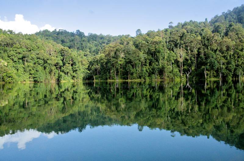 Kenyir Lake reflection