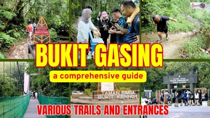 Bukit Gasing Hiking Trails featured image