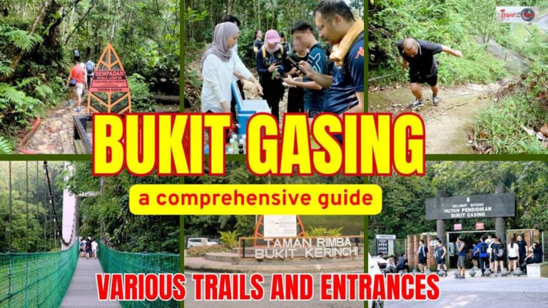 Bukit Gasing Hiking Trails featured image