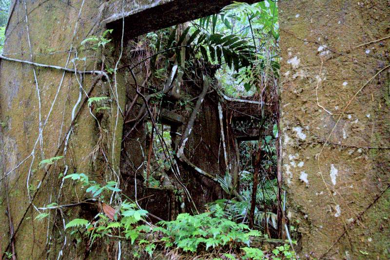 the abandoned house in bukit gasing