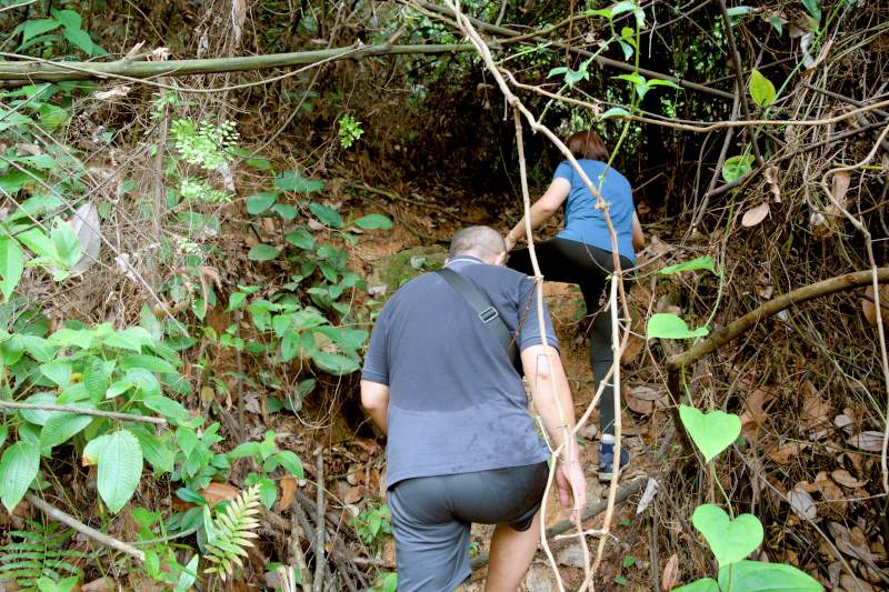bukit gasing hiking trail