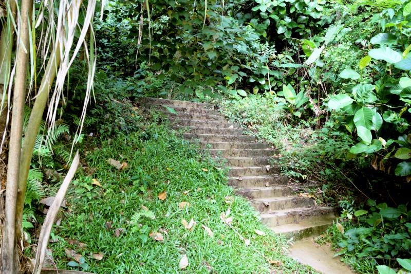 Pantai Hill trailhead