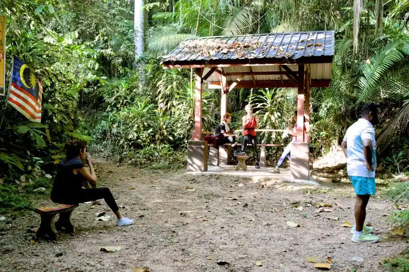 bukit gasing hiking trail