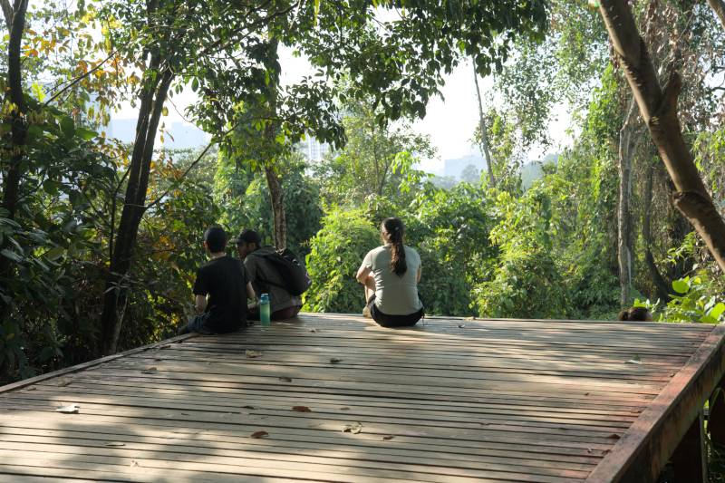 bukit gasing hiking trail
