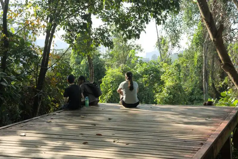 bukit gasing hiking trail