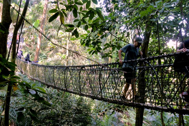 bukit gasing hiking trail