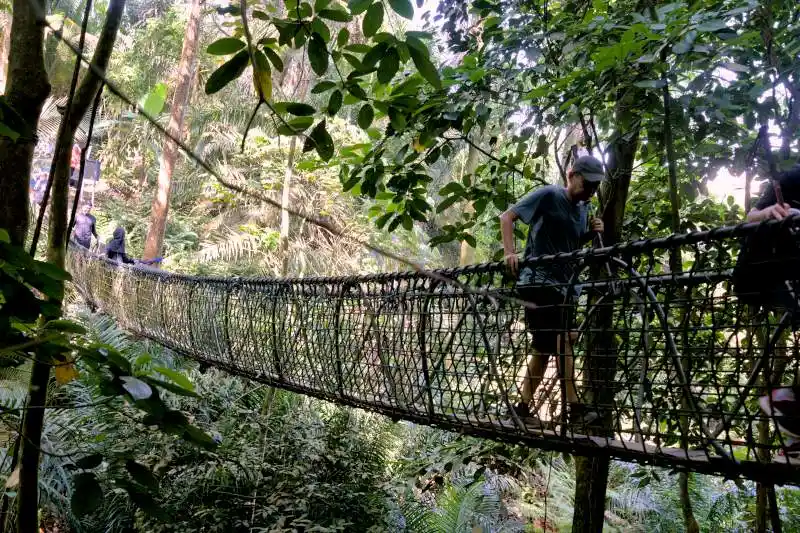bukit gasing hiking trail