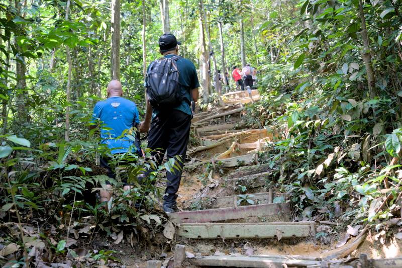 stairway to heaven at bukit gasing hiking trail